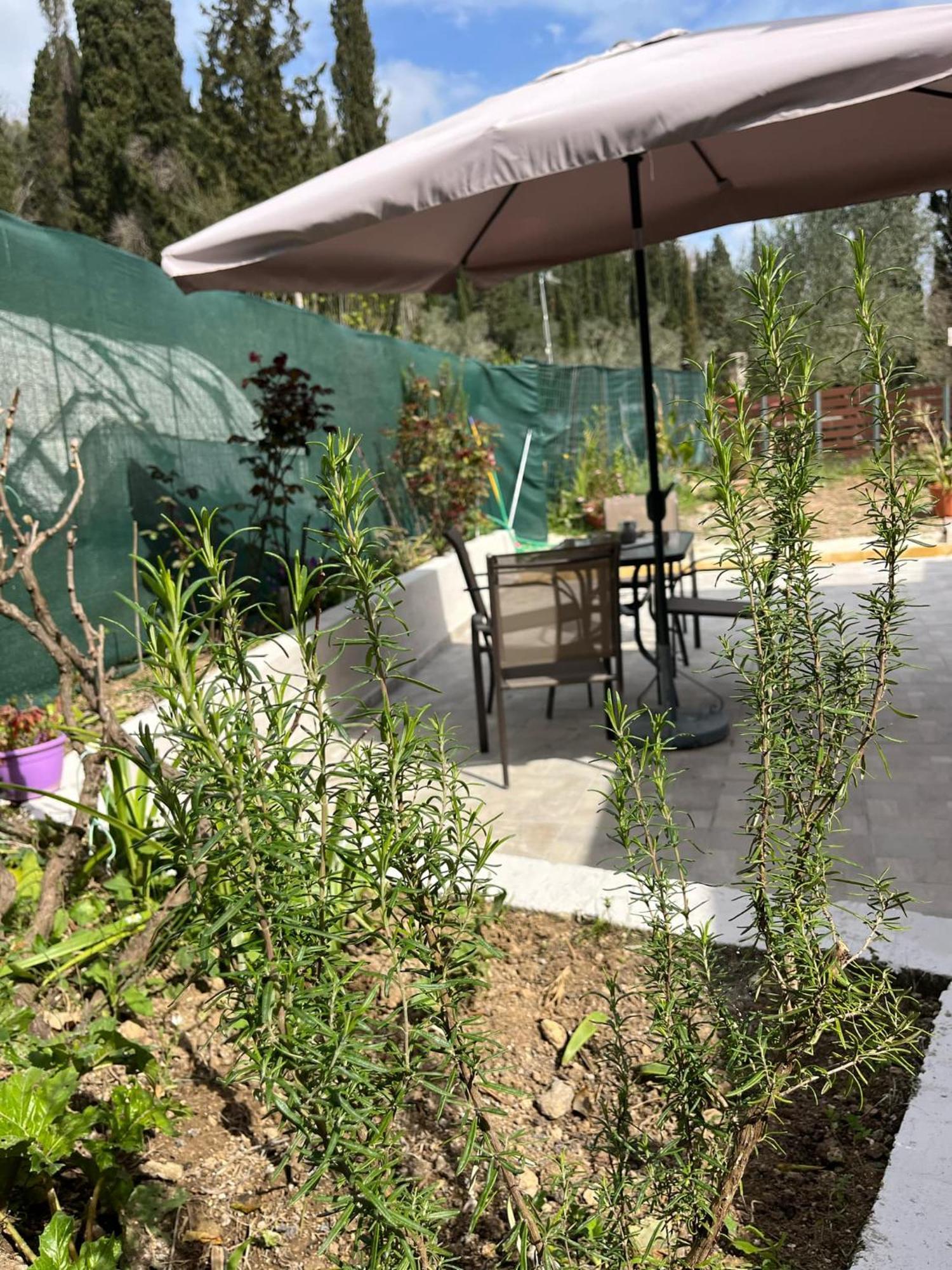G&Z Cottage Kynopiastai Экстерьер фото
